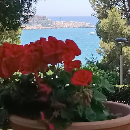 Beach & Flowers Free Parking Salou Exterior foto
